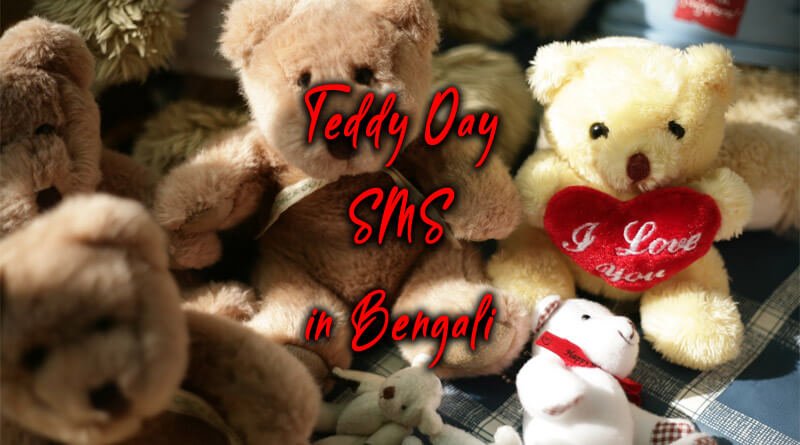 10 Teddy Day Sms In Bengali 2021 Bengalimasti