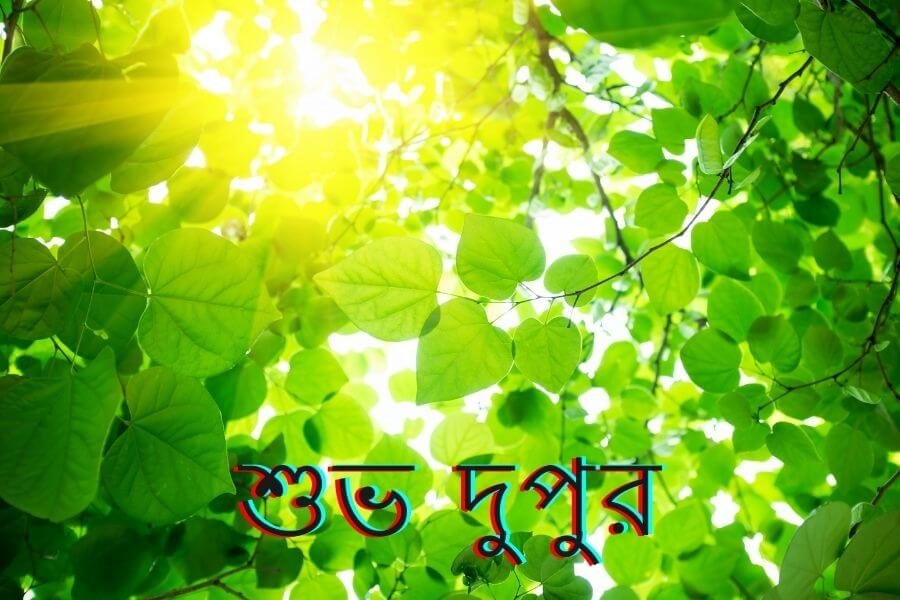 শ ভ দ প র শ ভ চ ছ ছব ড উনল ড 2021 Bengalimasti