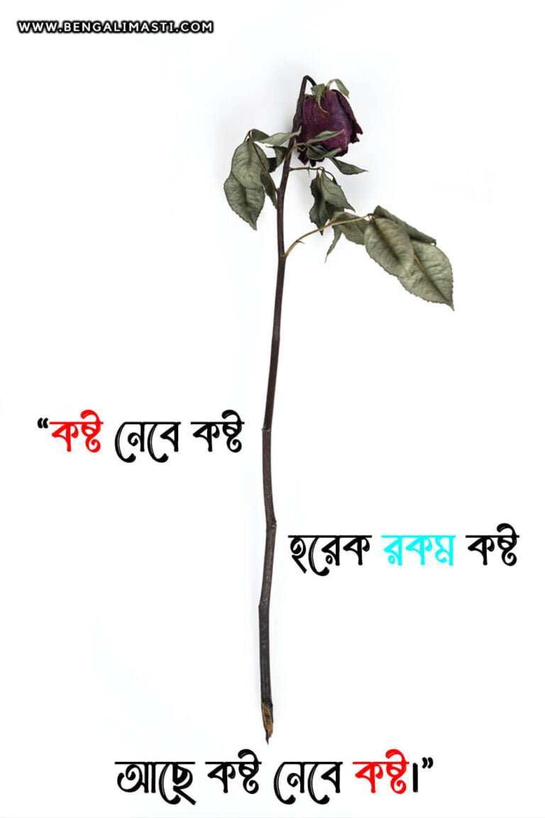 53-read-emotional-quotes-in-bengali-with-a-lot-of-images-bengalimasti